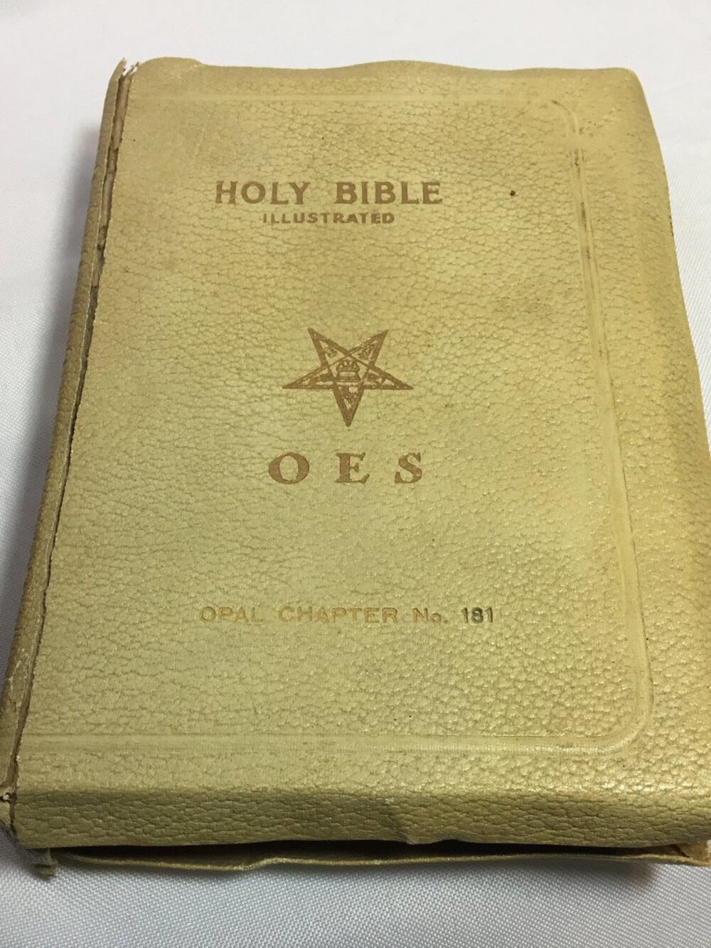 Holy Bible OES Order of Eastern Star Holman Edition A.J. Holman 1950's Illustrat
